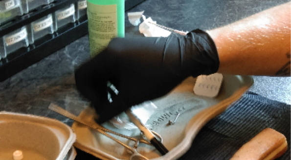 Piercing Übungsset zum piercen lernen um Piercer zu werden I Piercerfernschule.de 